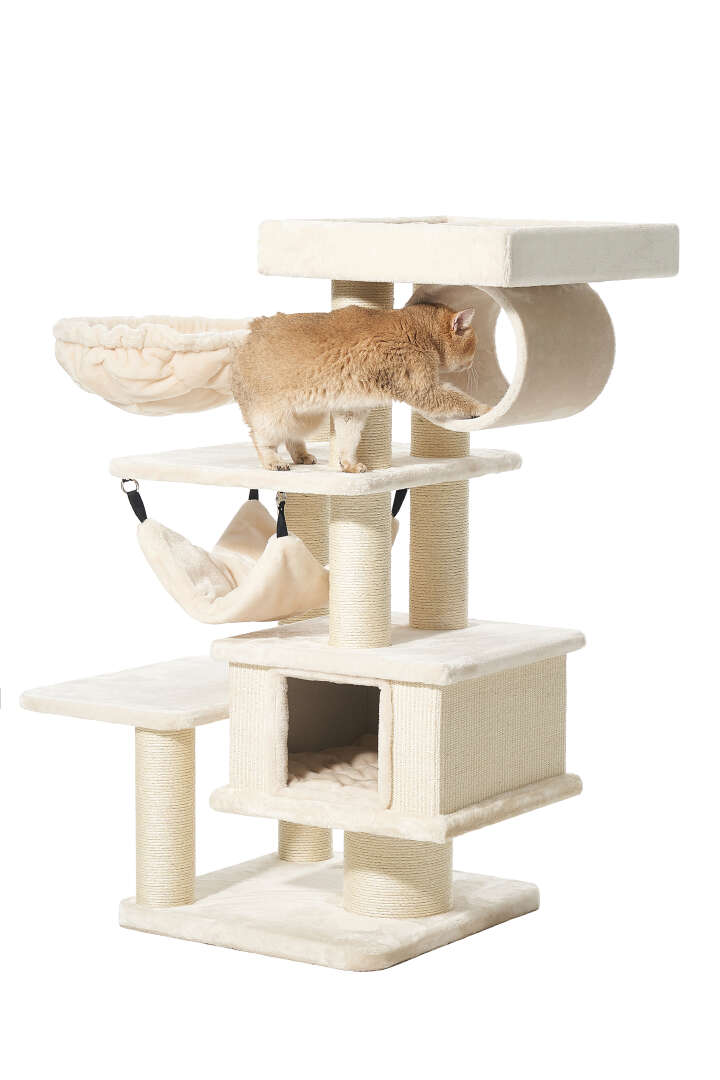 Nobby Kratzbaum Elin